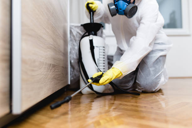 Best Pest Inspection Near Me  in Cartersville, GA
