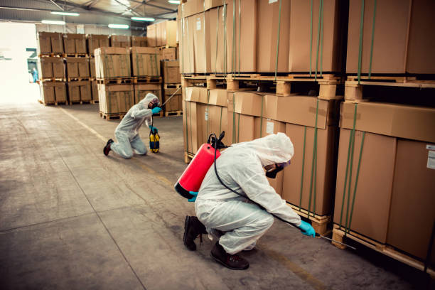 Best Pest Control Near Me  in Cartersville, GA