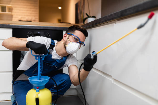 Reliable Cartersville, GA Pest Control Solutions