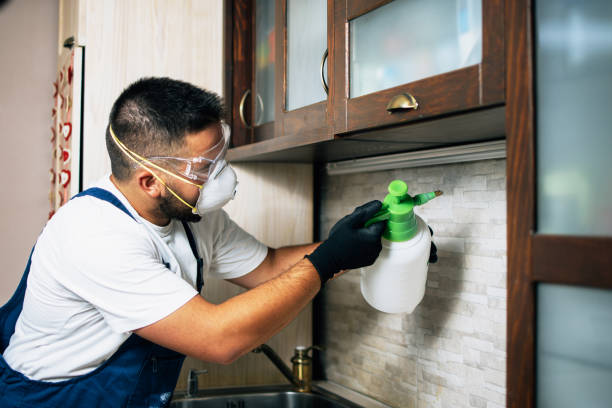 Best Cockroach Control Services  in Cartersville, GA