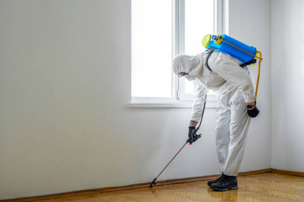  Cartersville, GA Pest Control Pros