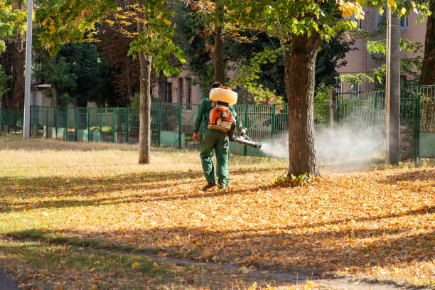 Best Bird Control  in Cartersville, GA