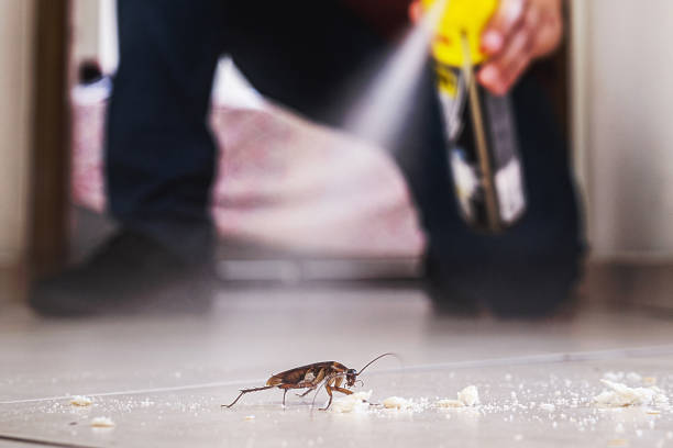 Best Termite Control Services  in Cartersville, GA