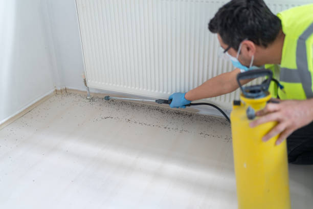 Best Commercial Pest Control Services  in Cartersville, GA