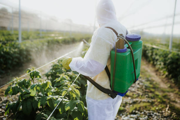Best Local Pest Control Services  in Cartersville, GA